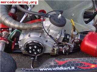 Vendo wild kart 125 icc, 6 velocidades 2007