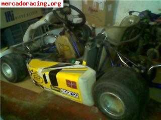 Vendo kart 2400€ negociables