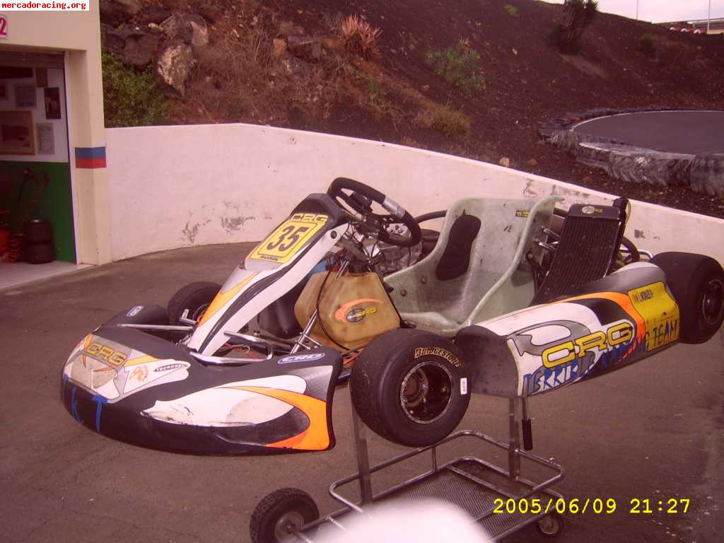 Se vende o se vende kart crg 125 icc 6 velocidades