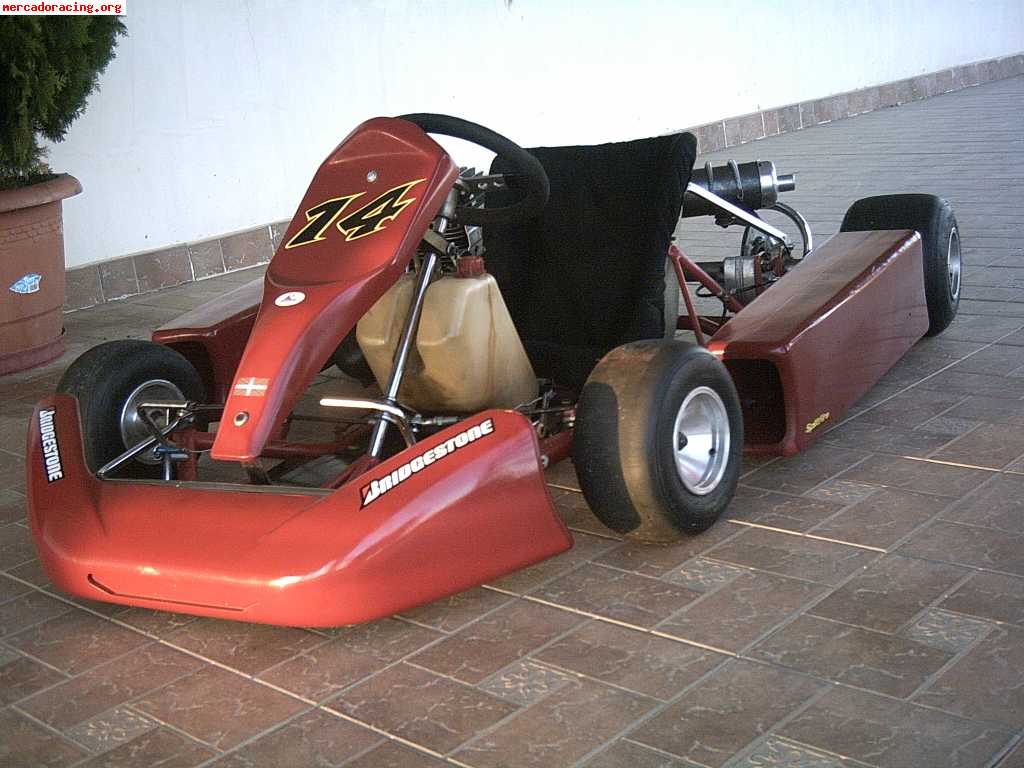 Vendo tecnokart rotax 1000€