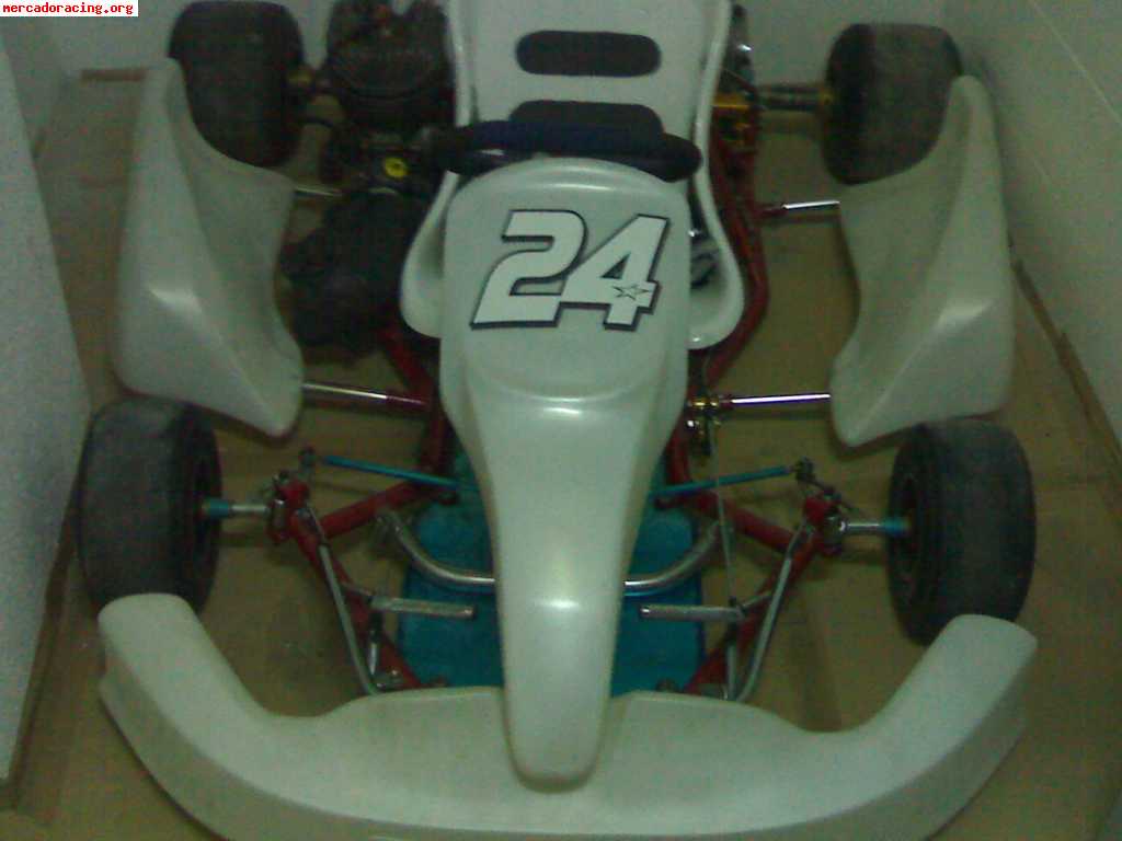 Vendo kart con mucho recambio