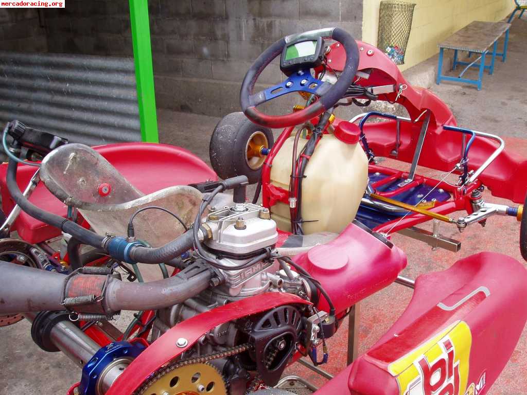 Kart en perfecto estado. chasis birel. motor x30