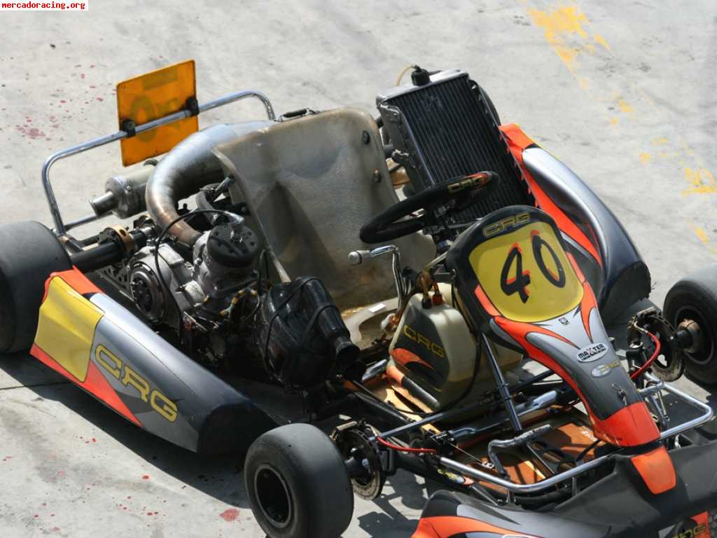 Kart icc 6v crg road rebel con maxter 46cv - 2006