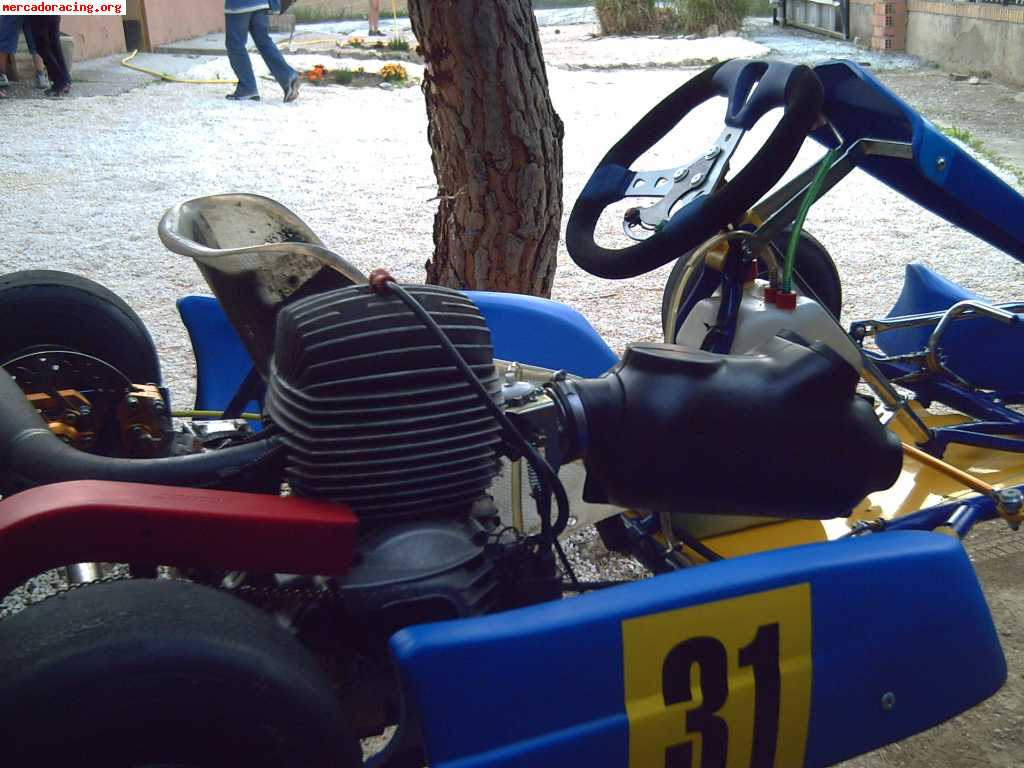 Kart cadete