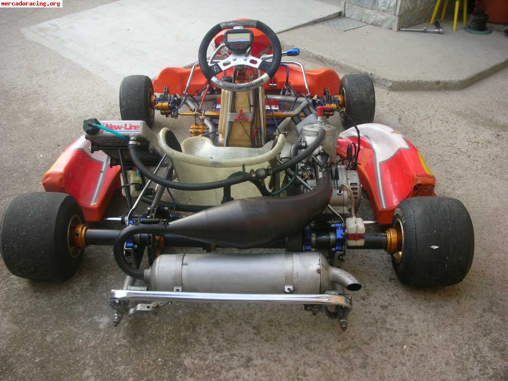 Vendo kart birel chollo 3500eurs