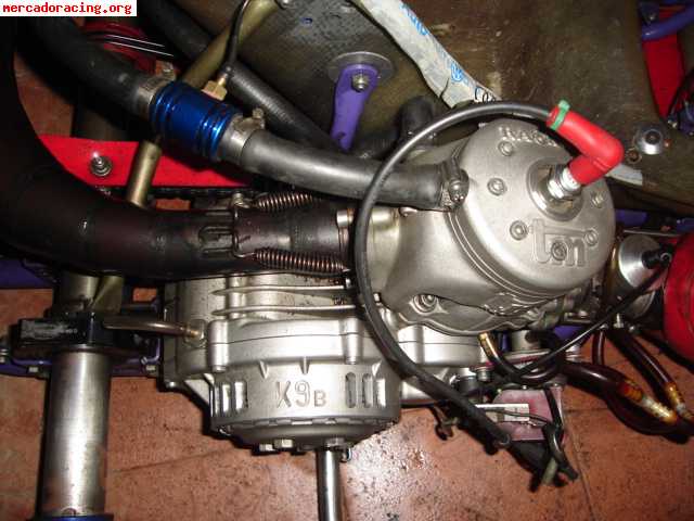 Kart icc 125