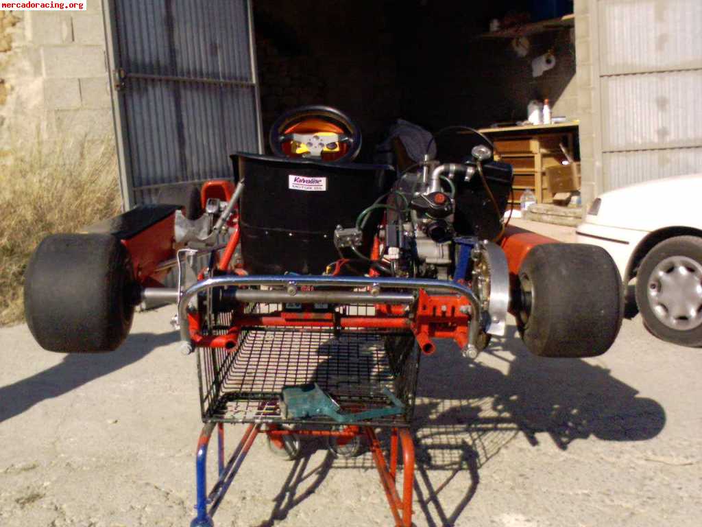 Vendo kart con motor rotax max 125