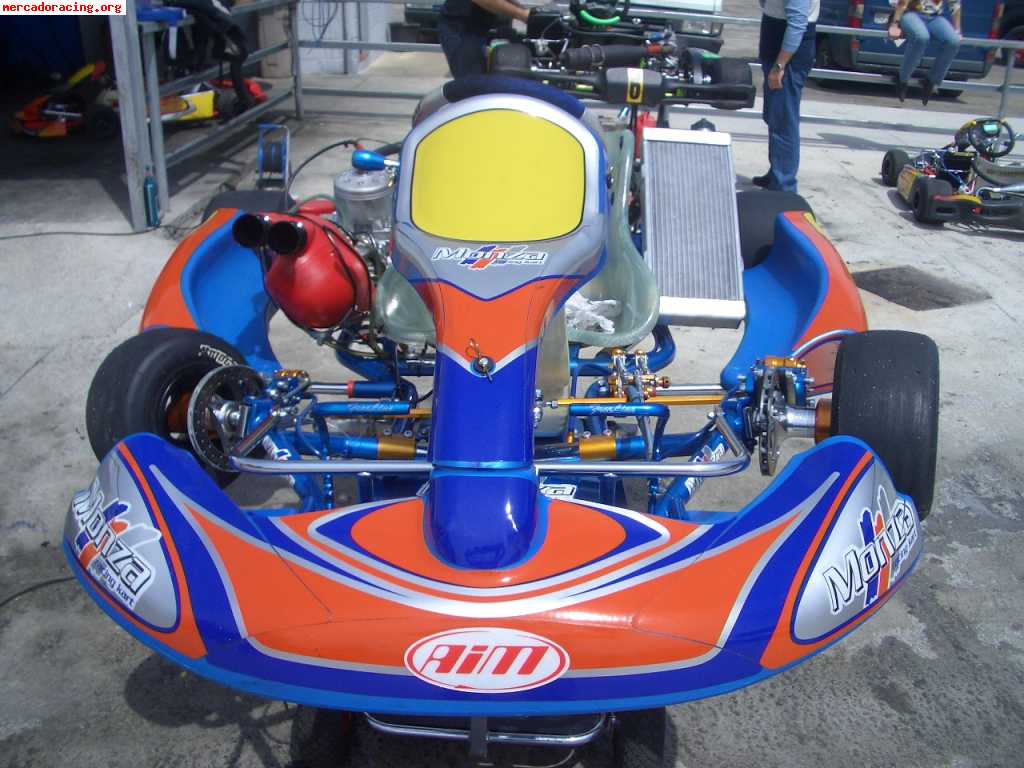 Kart monza 125 icc año abril 2008 con motor tmk9c sin carrer