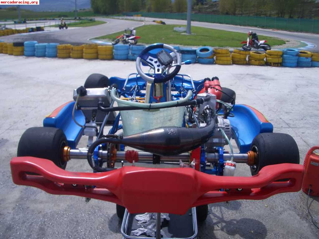 Kart monza 125 icc año abril 2008 con motor tmk9c sin carrer