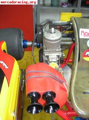 Vendo kart pcr - tm  2007