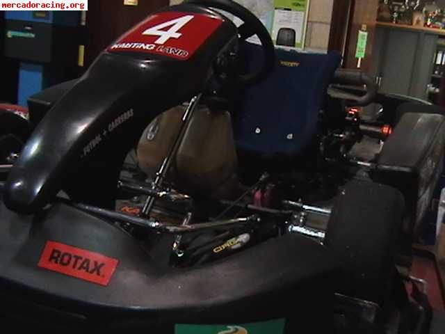      kart rotax mas  125 con carro y acesorios      