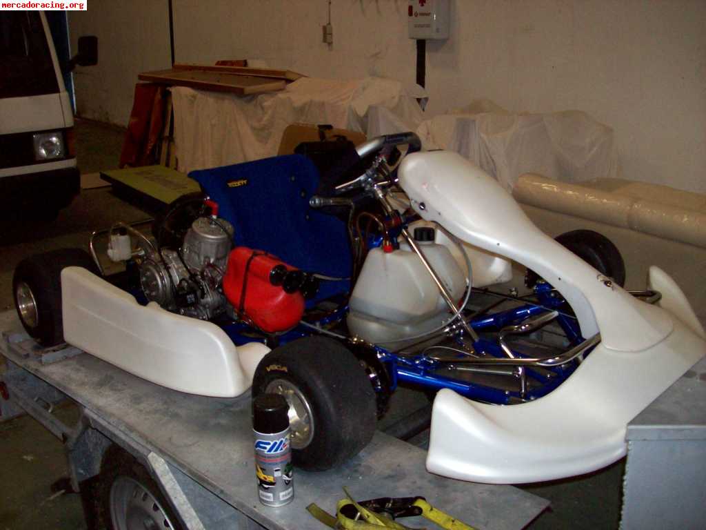 Vendo icc, kz-2, chasis zanardi 2007, motor tm k-9b impecabl