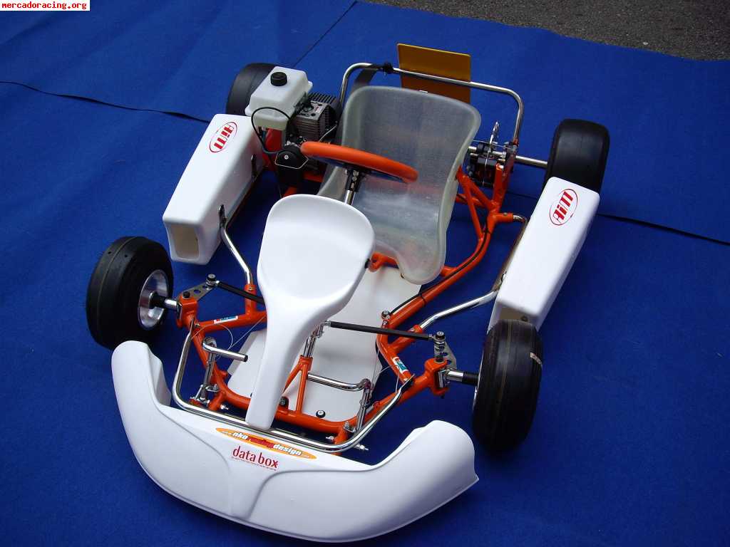 Kart infantil