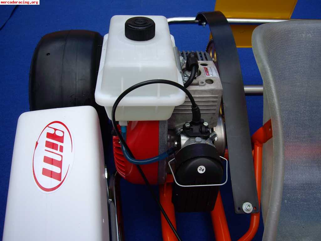 Kart infantil