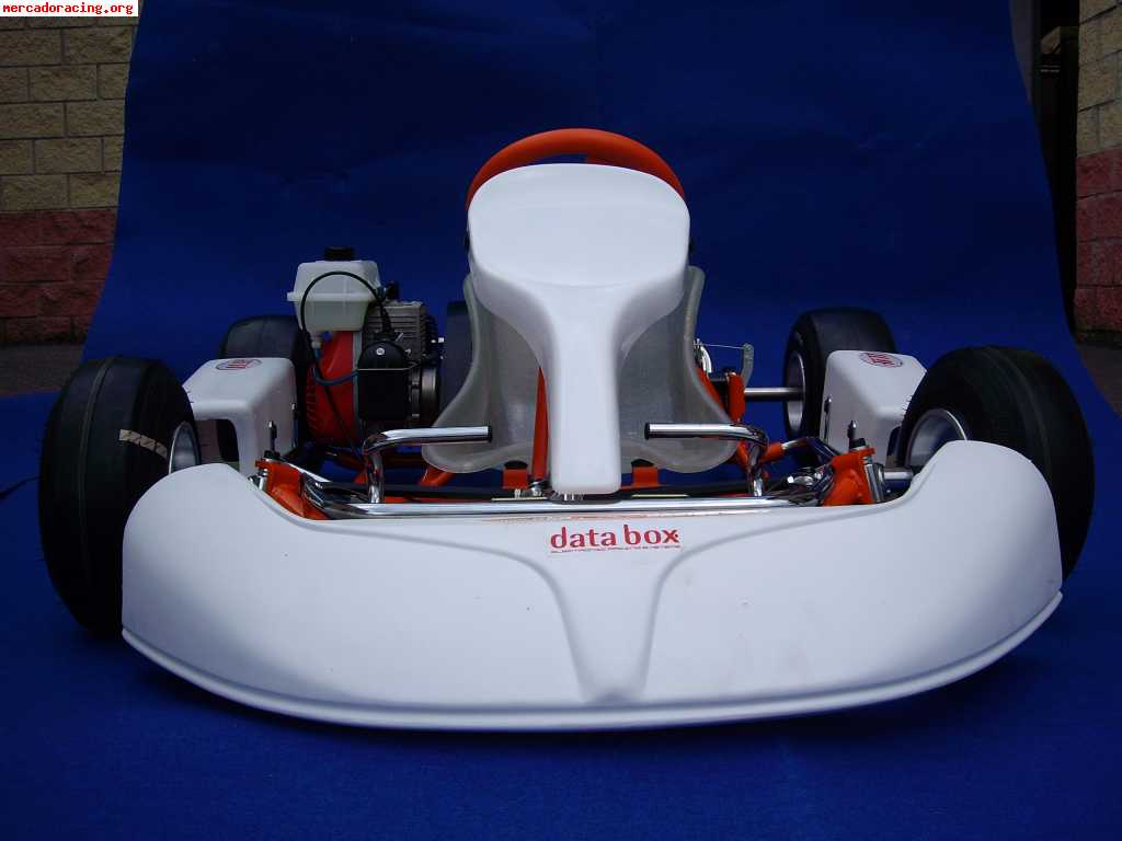 Kart infantil
