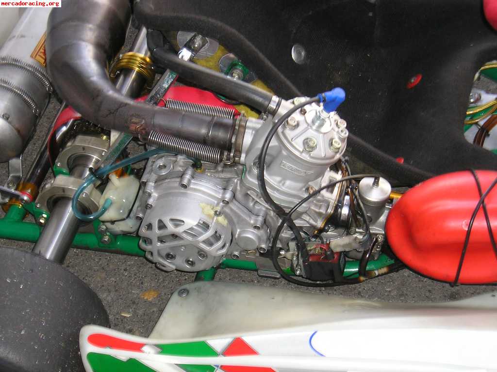 Tony//kart 125cc