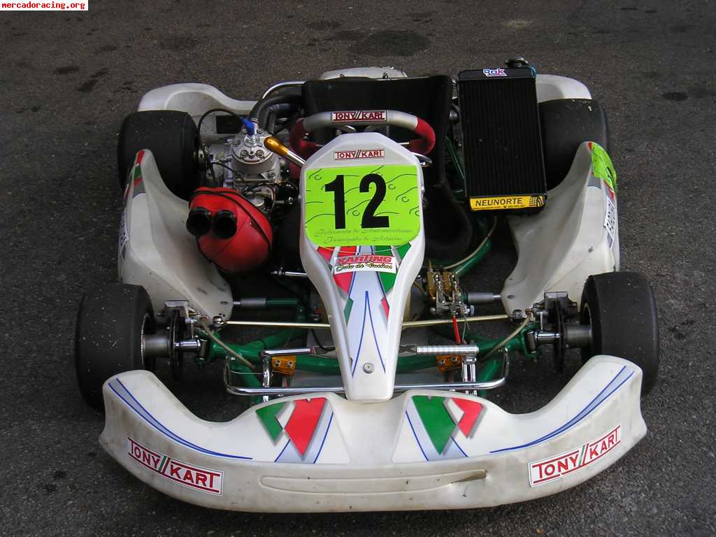 Tony//kart 125cc