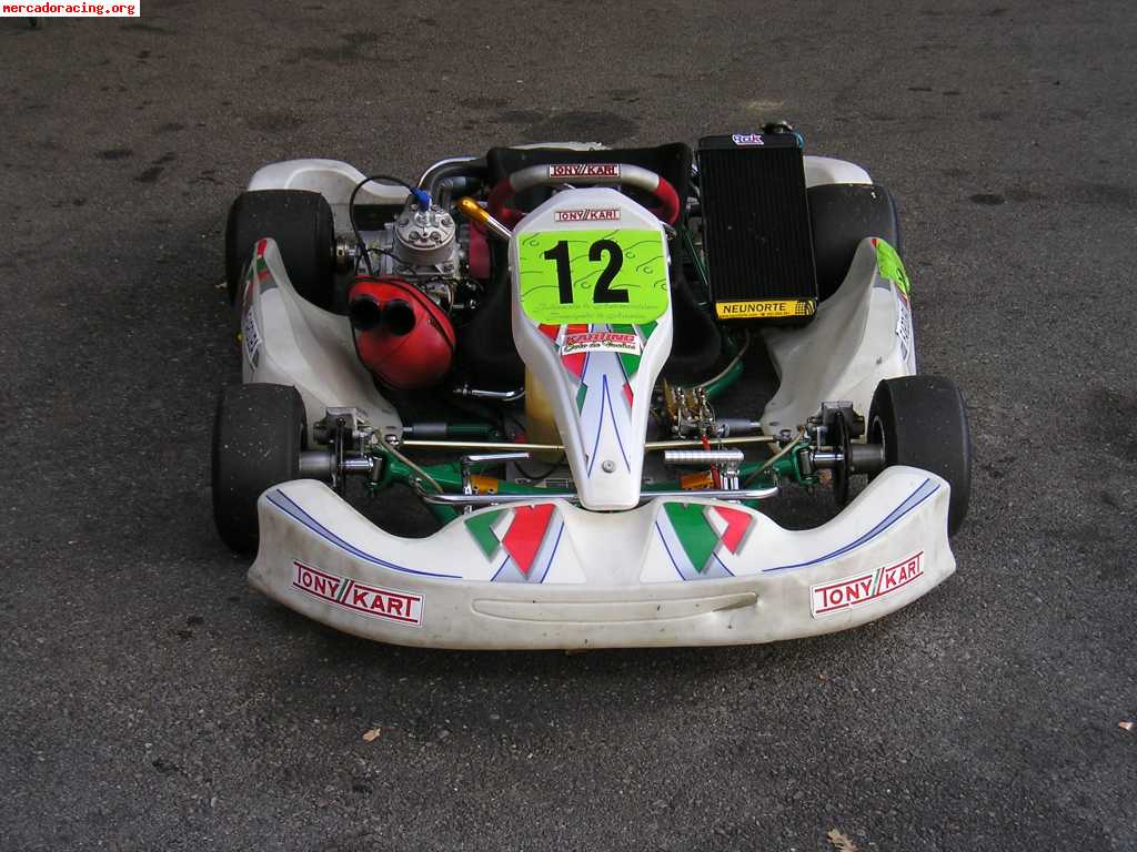 Tony//kart 125cc