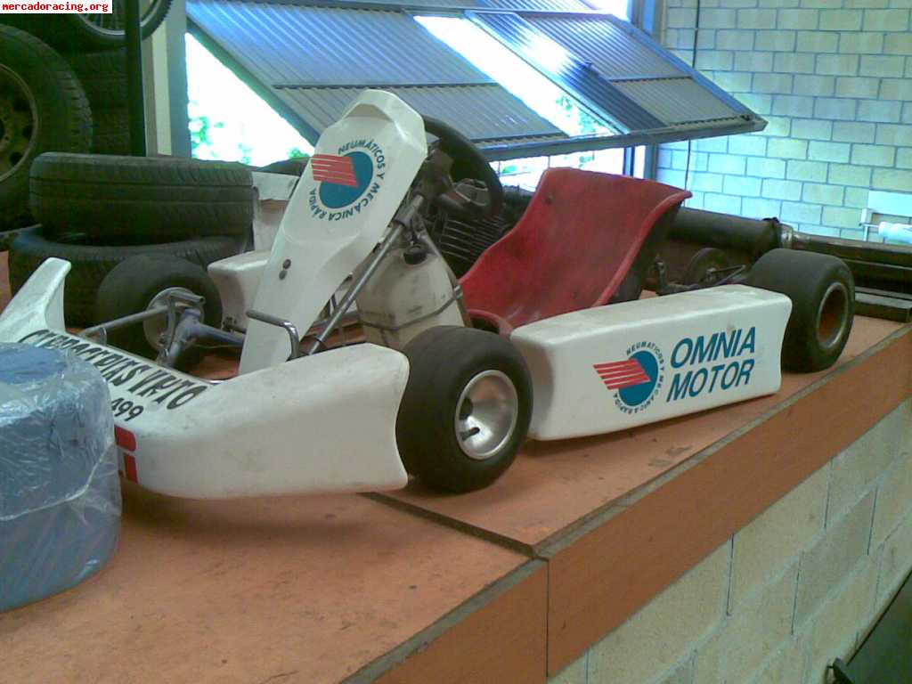 Kart 100c.c por 750e