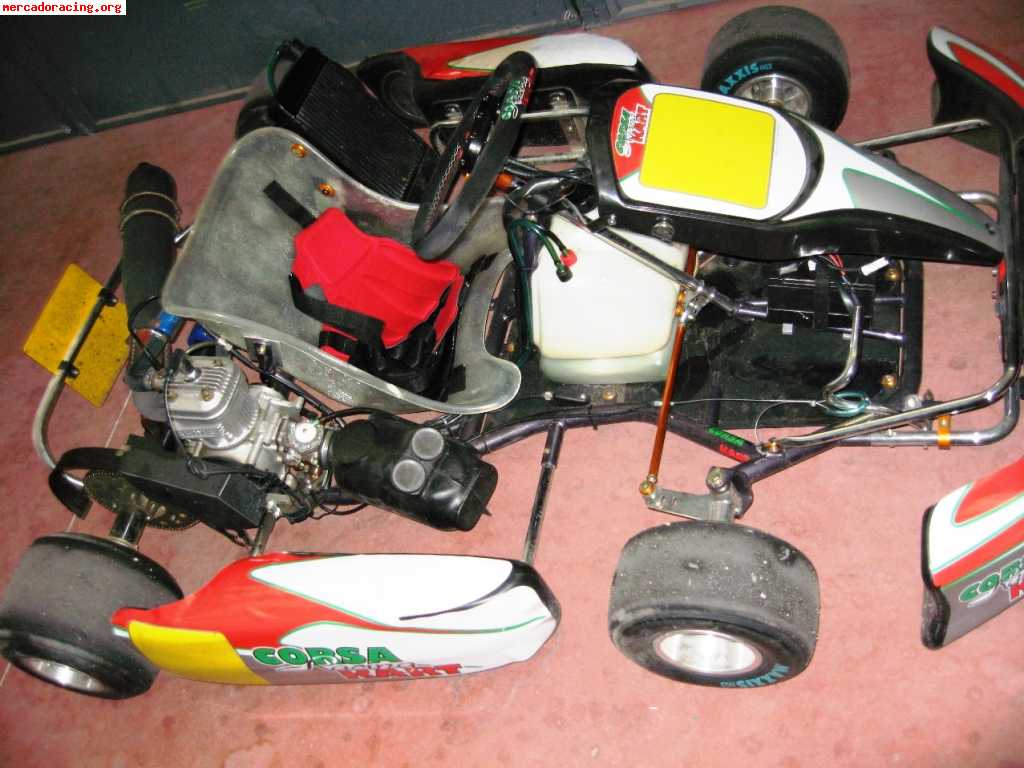 Vendo o cambio kart parilla x30 125 chasis corsa