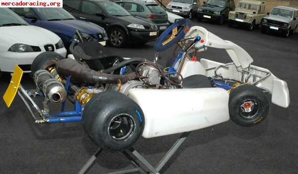 Se vende kart 125cc 6v