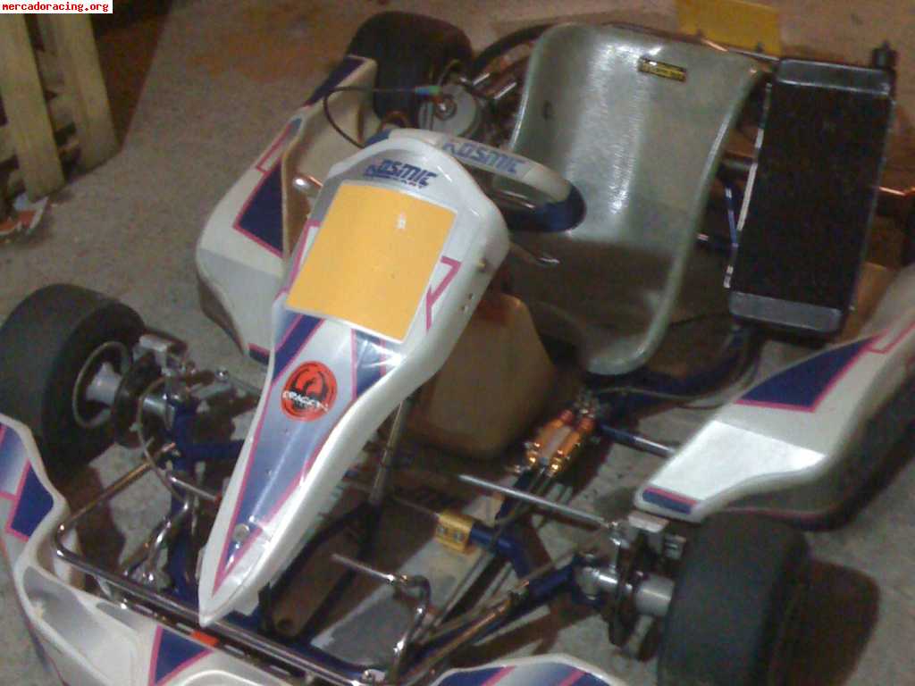 Vendo kart  icc 125 buen precio