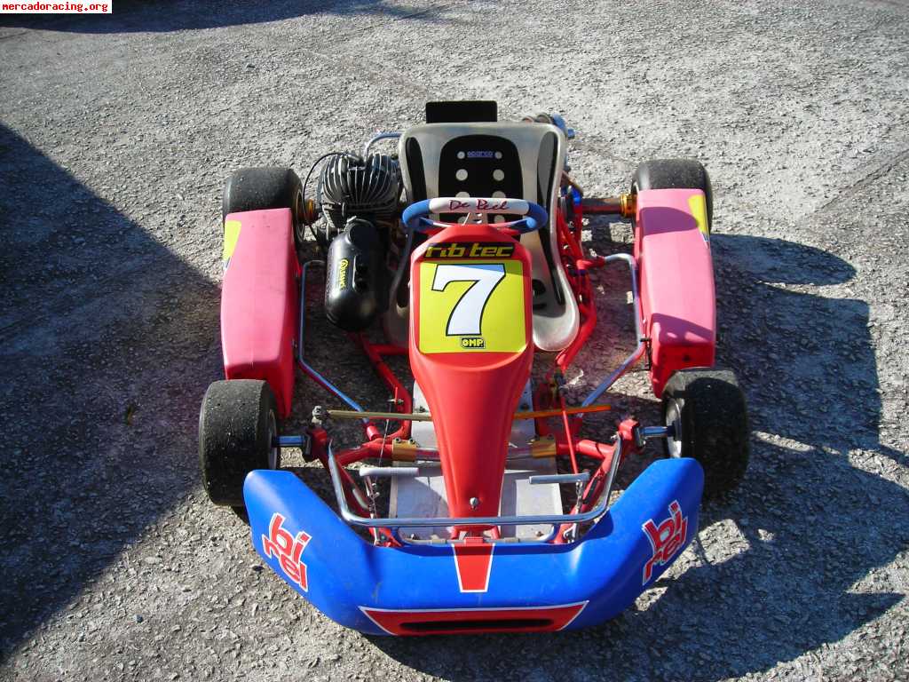 Vendo kart birel 100cc  impecable 