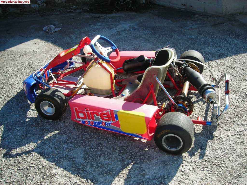 Vendo kart birel 100cc  impecable 