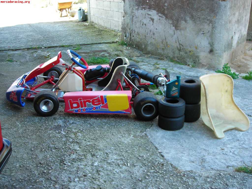 Vendo kart birel 100cc  impecable 