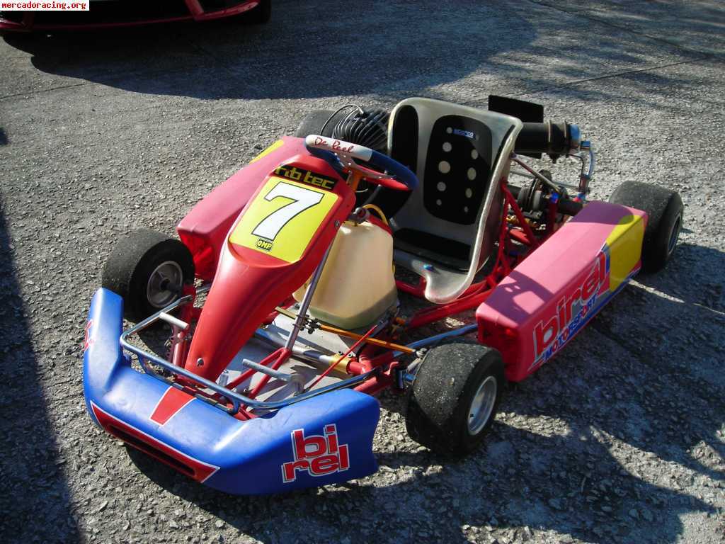 Vendo kart birel 100cc  impecable 