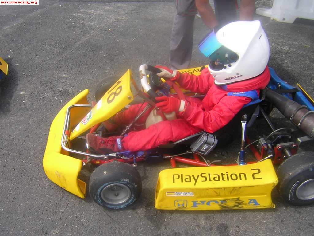 Vendo kart alevin