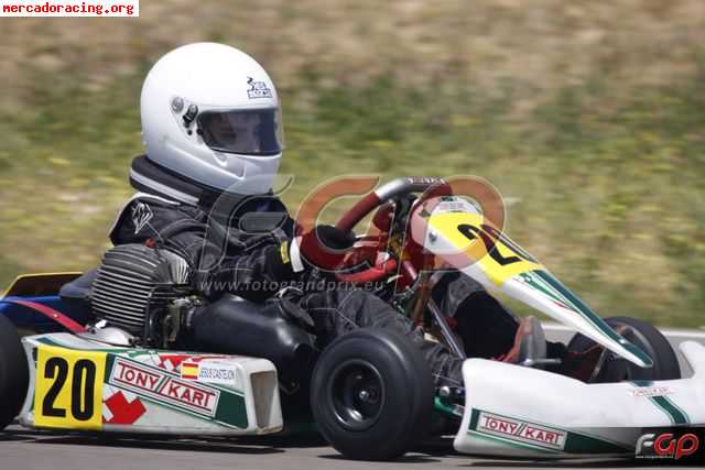 Tony kart cadete