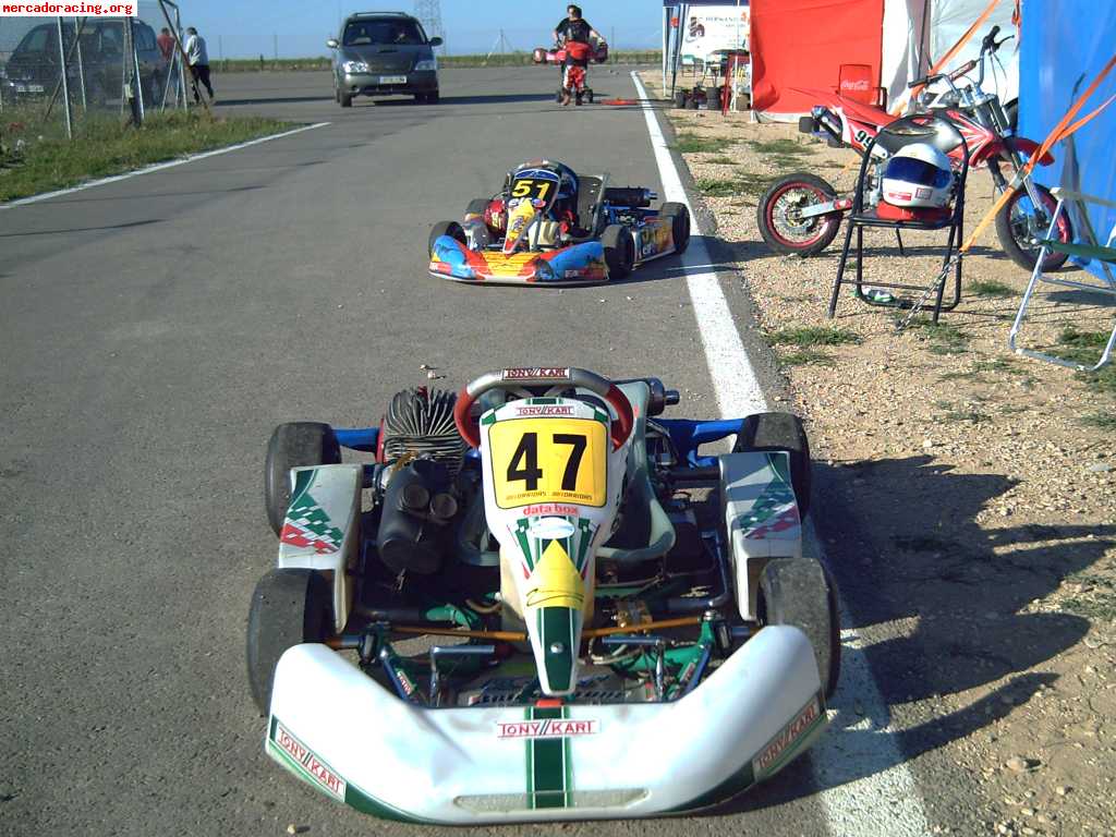 Tony kart cadete