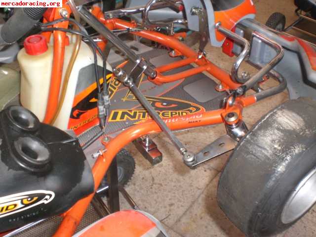 Se vende intrepid cadete con motor puma 85 del año 2008