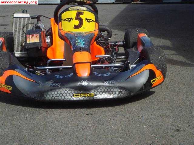 Crg 2006 con rotax 125 a precio inmejorable