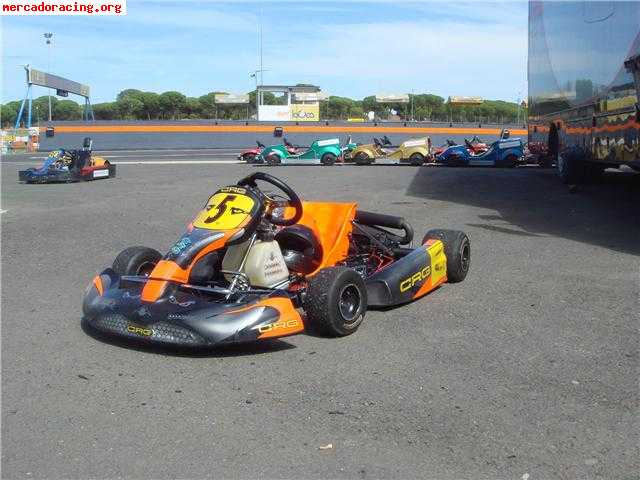 Crg 2006 con rotax 125 a precio inmejorable