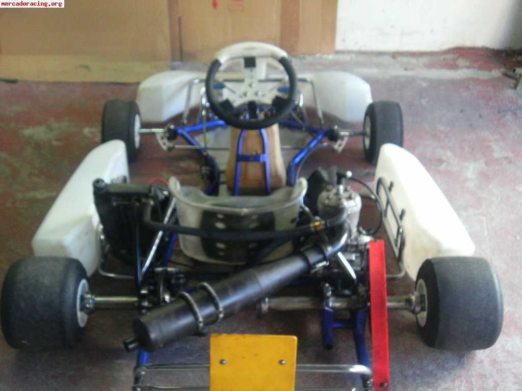 Vendo kart 125cc homologado por 1700€