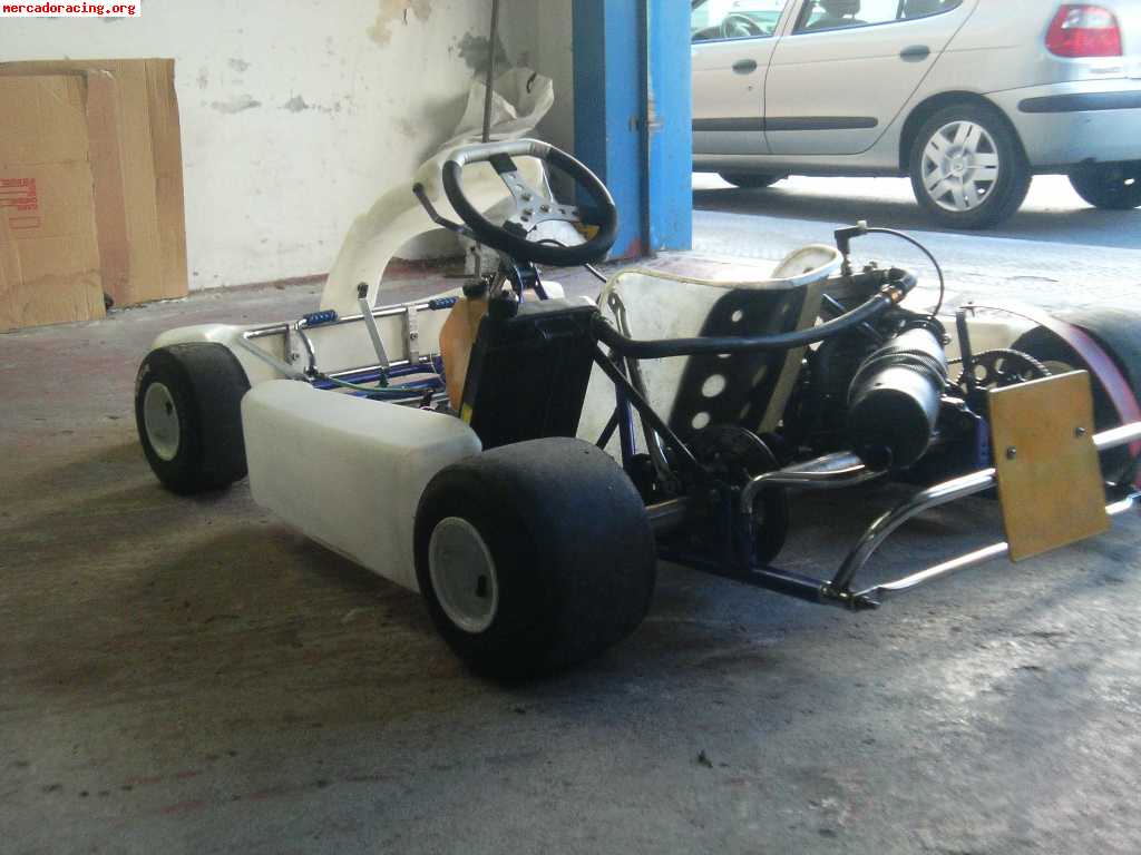 Vendo kart 125cc homologado por 1700€