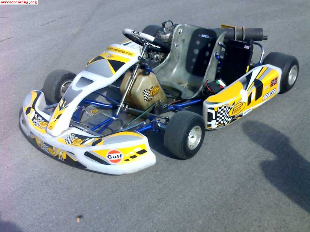 Se vende kart parolin leopard 1700e