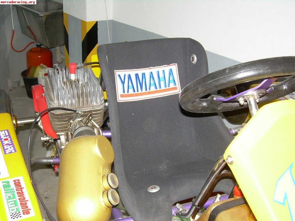 Vendo kart yamaha 100 cc inter a