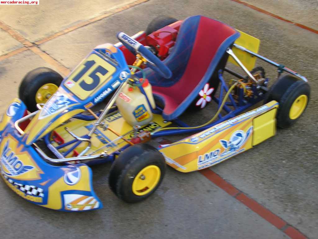 Vendo kart cadete (niñ@) top kart estado impecable usado sol