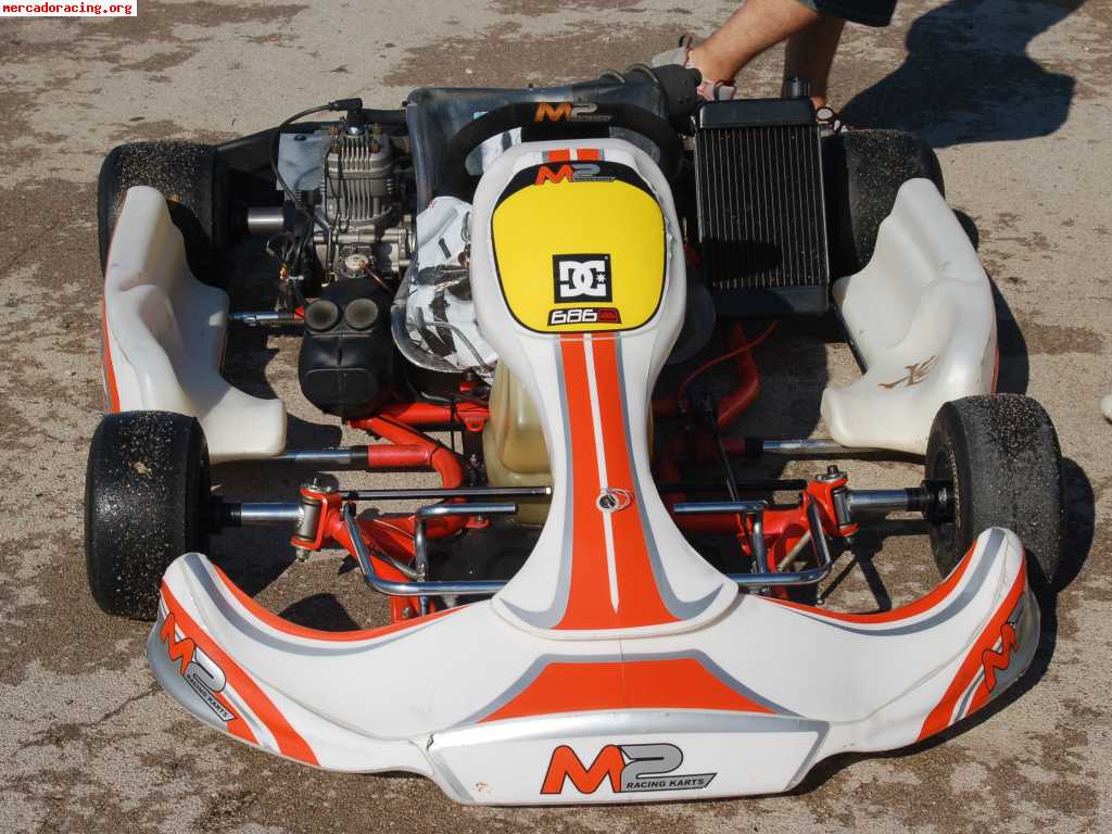 Se vende kart chasis crg i motor x30 parilla nuevo