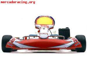 Birel r31 + motor pcr tsl 