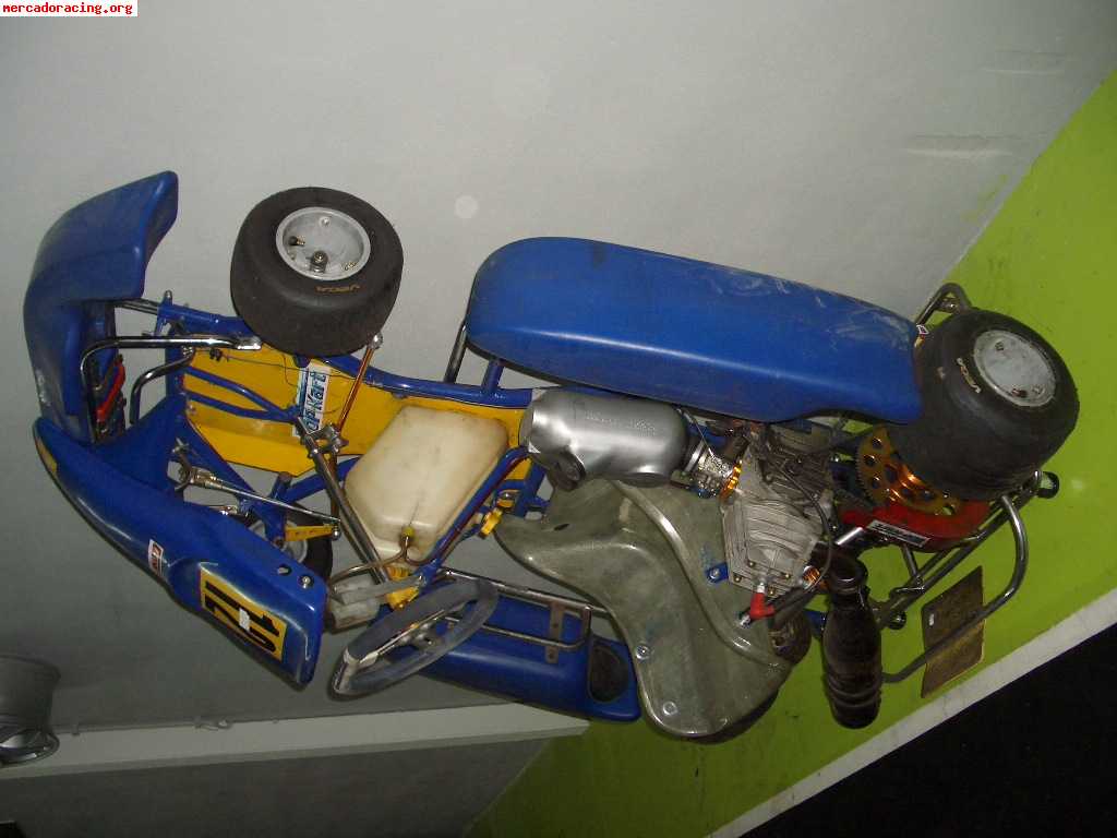 Top + comer economico