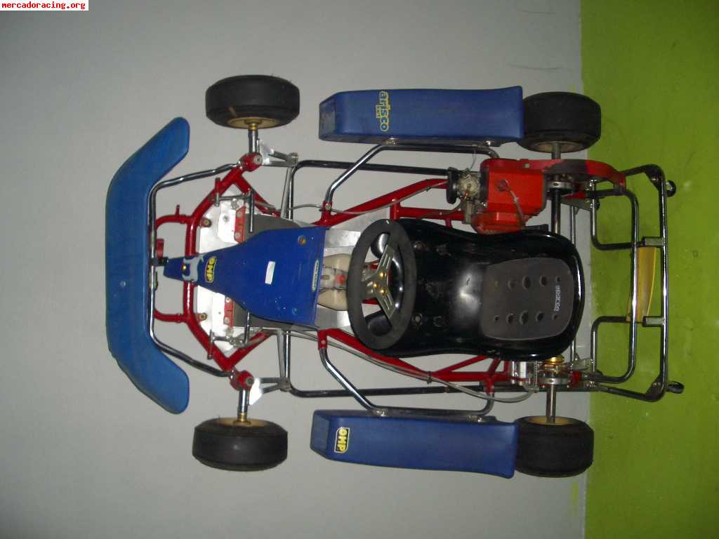 Kart infantil