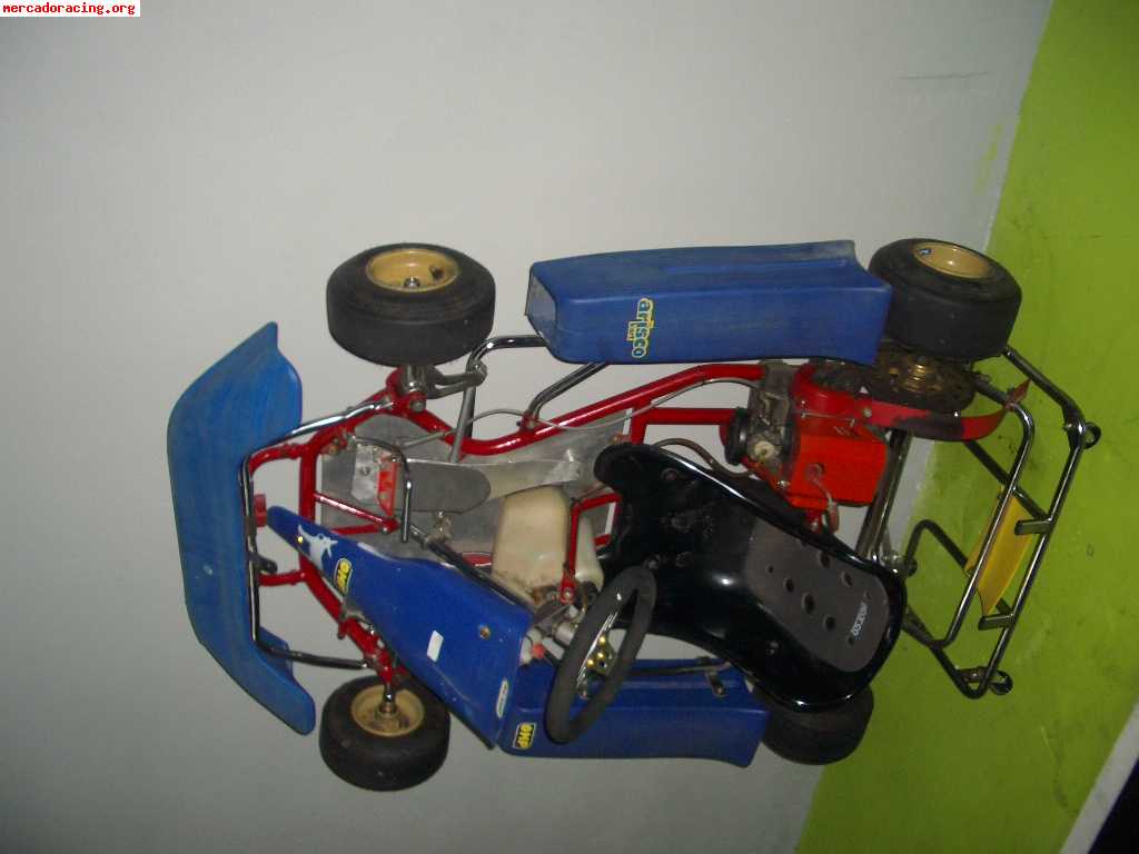 Kart infantil