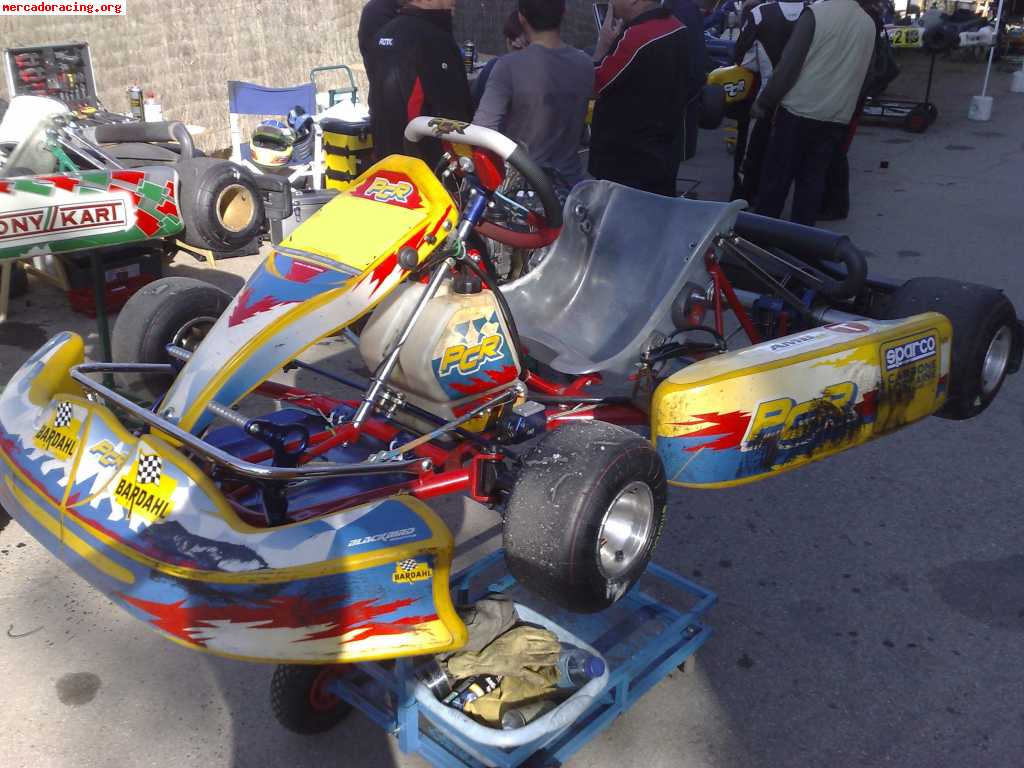 Pcr rotax max 125cc