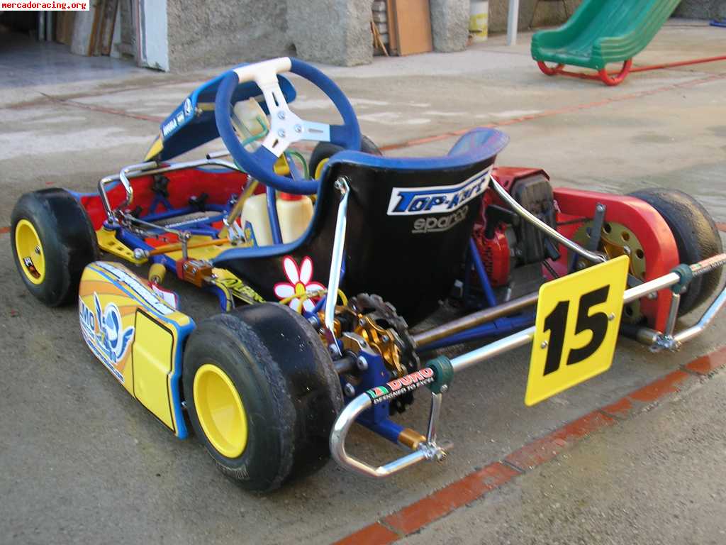 Kart cadete vendo o cambio por quad infantil