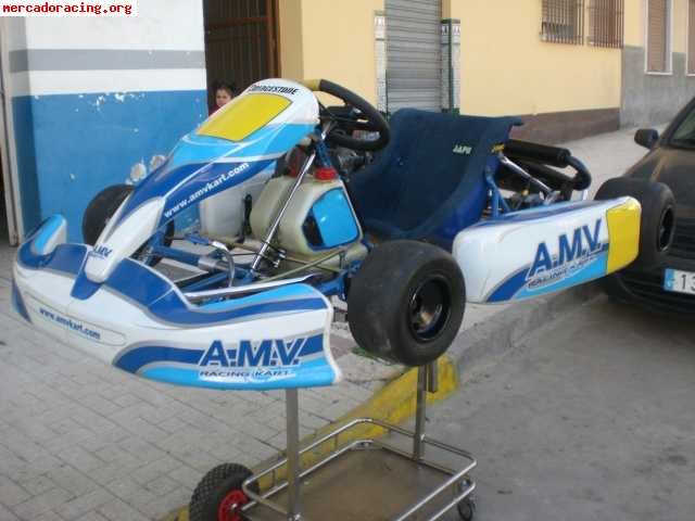 Se vende mach1 con decoracion de amv con motor rotax max ¡¡¡