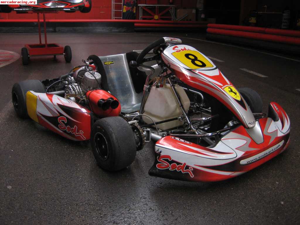 Vendo sodikart sr5 bv 2007 con tm k9b preparación faluga